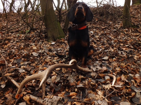 dnešný 12-torák :)