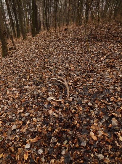 prvý pohľad, najkrajší pohľad