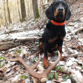 včerajší 10-torák