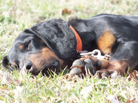 Po dobrom tréningu zaslúžený oddych :)