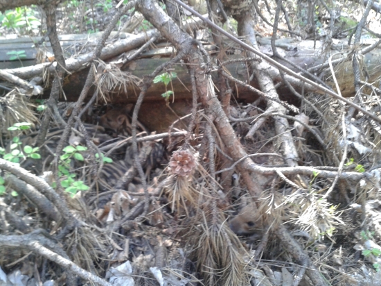 dnešní pižamkáci