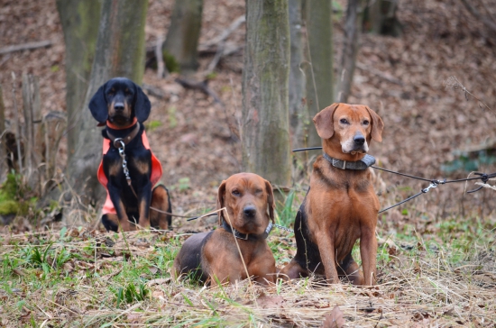 so srbskými kamošmi oddychujeme po prvom pohone :)