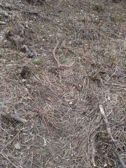 prvý pohľad dnes na lehnisku ...12torák