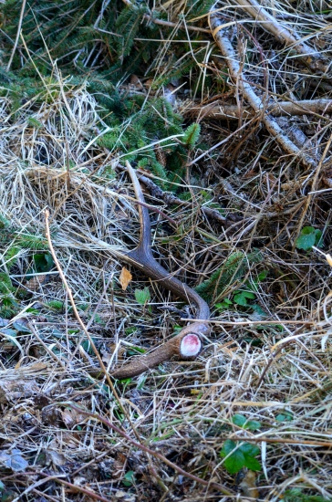 Keď cítiš jeho čerstvosť