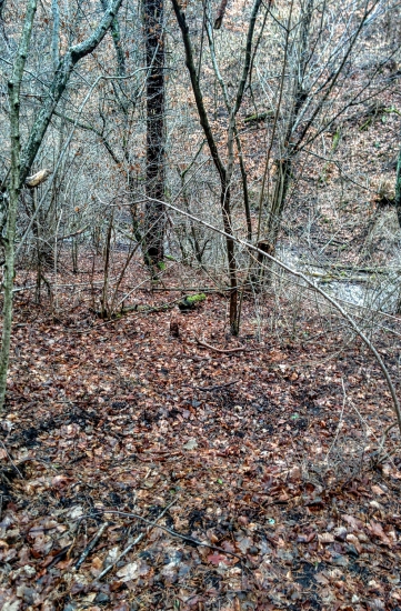 Prvý pohľad , slabučký 14-torák