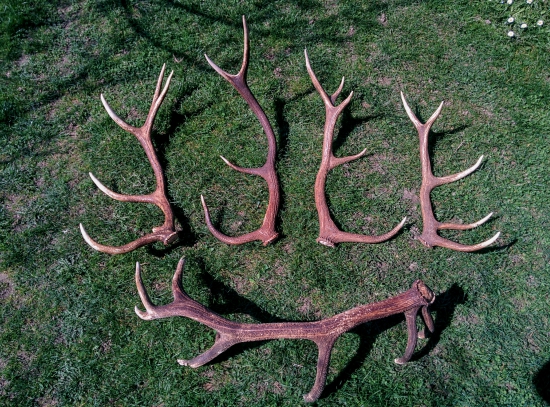 8,10,12,14,16-torák Sezóna 2017