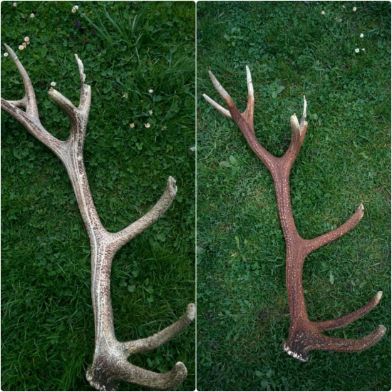 Pred a po úprave , zhod z ID 312302