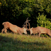Neskutočný zážitok...