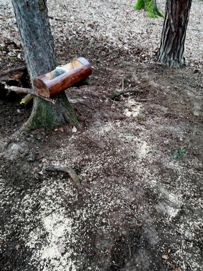 Už na svojom mieste