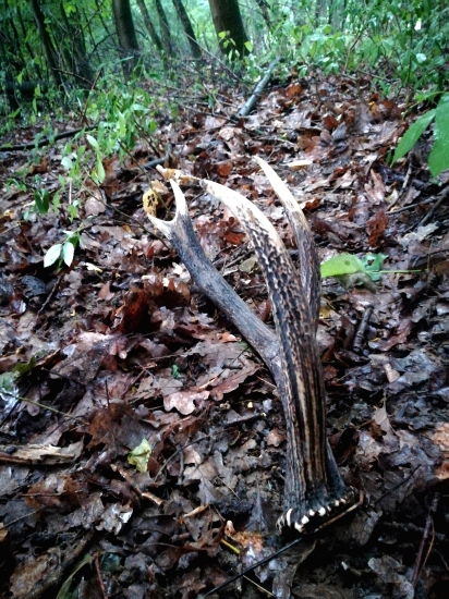 Keď pršalo mrholilo