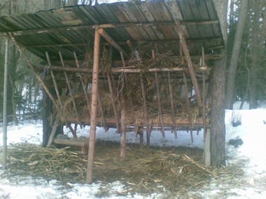 nas krmelec po navale diviakov