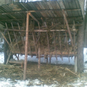 nas krmelec po navale diviakov