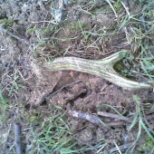 Takto som ho našiel