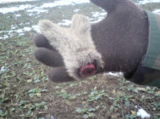 dnešok.. nešťastne zhodený