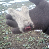 dnešok.. nešťastne zhodený