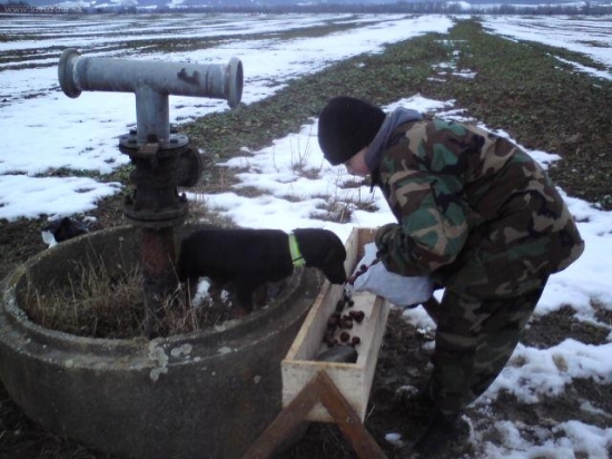 moje nové kŕmitko...