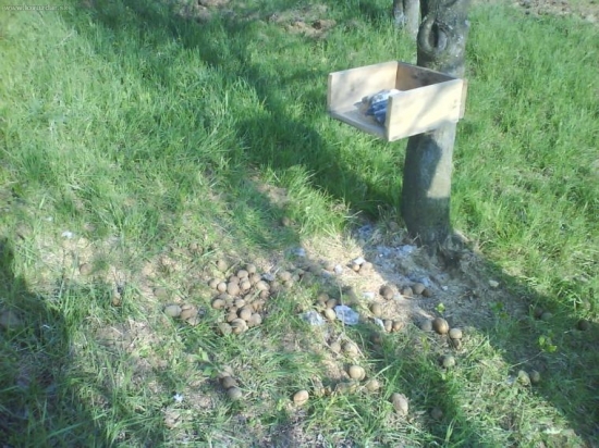 Dnešné prikrmovanie.....