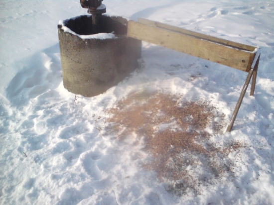 Dnešné prikrmovanie..:-)