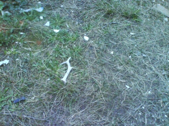 stary,ale aj taky potesi:-))