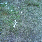 stary,ale aj taky potesi:-))