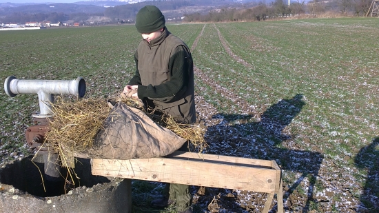 Dnešné prikrmovanie..