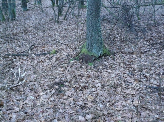 nepárny 12-rák, pár poteší!