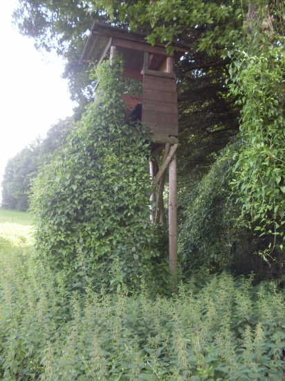 sem sa asi často nechodi