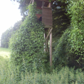 sem sa asi často nechodi