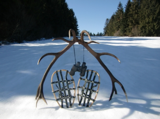 moja para s 3.3 2012