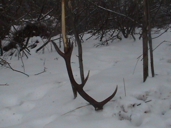 zhodik z velkonocnej nedele