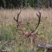 po tažkej noci odpočinok