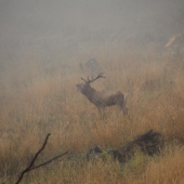 v rubani bolo hlučno