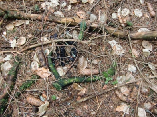 ten si tam polezal:(