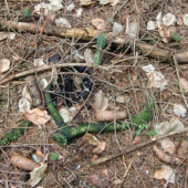 ten si tam polezal:(