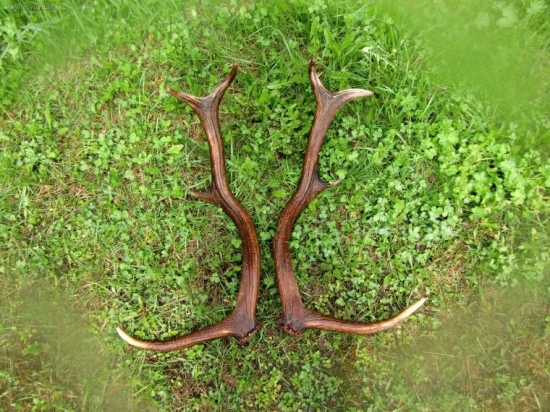 dnes sme si to užili svaku:)