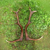 dnes sme si to užili svaku:)