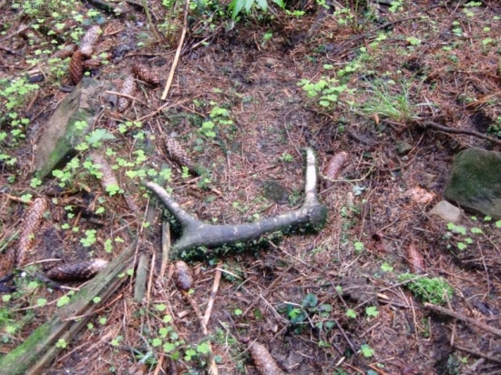 keby vedel rosprávat