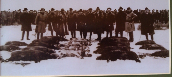 že aký výrad-grófsky.