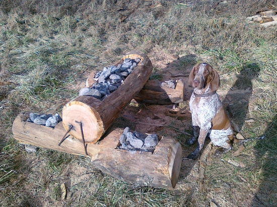 Náš rodinný miláčik, talianský stavač, Perlita.