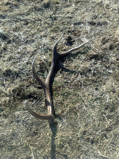 pri silaži :) idze my karta :)