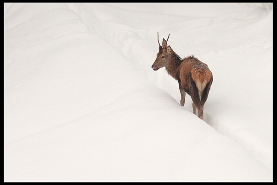 Z takého mať zhody... :D