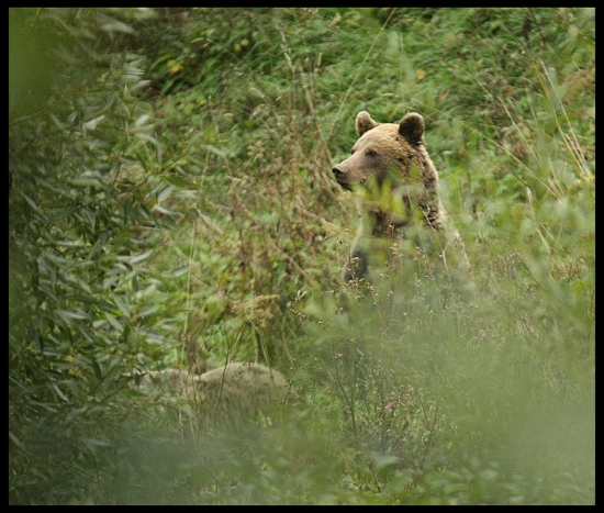Blízke stretnutia ll