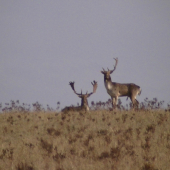 Kto nás to vyrušuje?