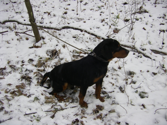 S Ebonom na prechádzake