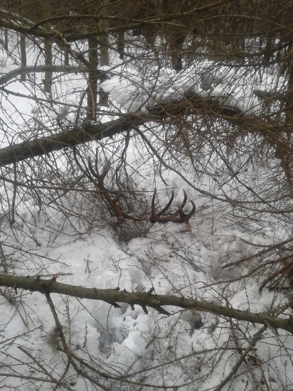 Už aj mne sa zadarilo