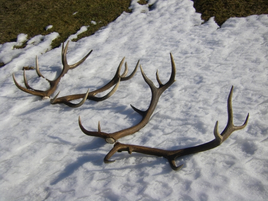 Tohoročné a dúfam, že nie posledné