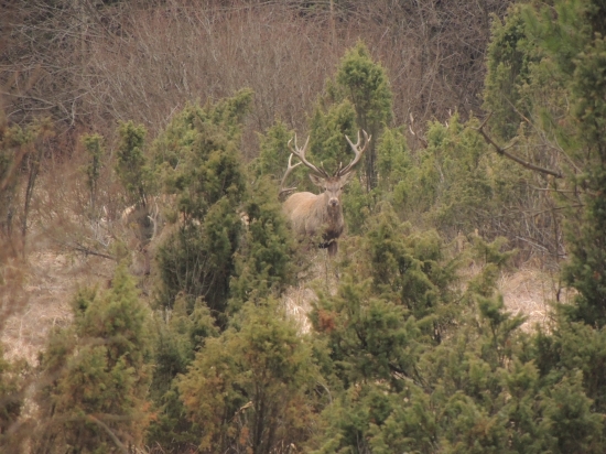 Neviem dokedy ich chce nosiť