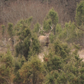 Neviem dokedy ich chce nosiť