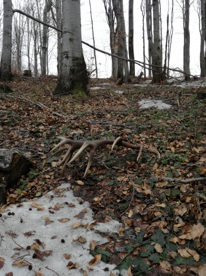 Dnešný dvadsaťtorák