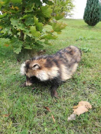Na októbrovom splne